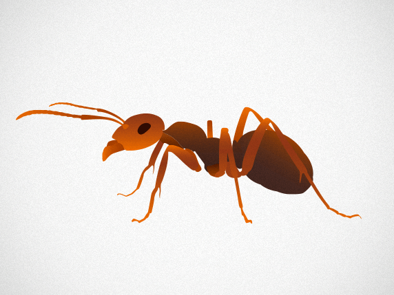 Do We Really Need Managers? - 99U