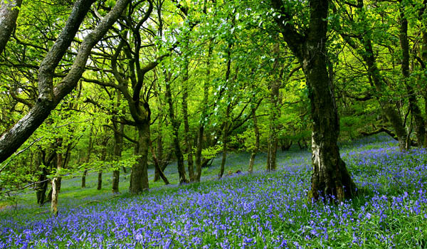 Why countries with the nicest people are the greenest | MNN - Mother Nature Network