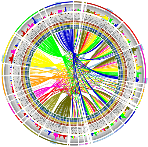 GenomeWeb Feature: Many Options, Formal and Informal, for Those Seeking Bioinformatics Education | GenomeWeb