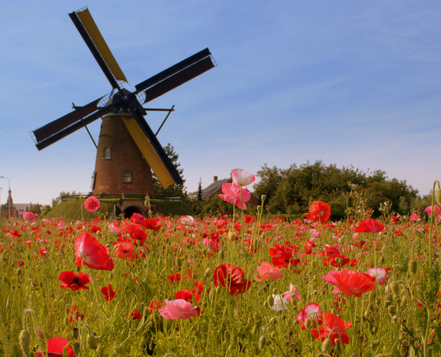Work-life balance is easy in the Netherlands | MNN - Mother Nature Network