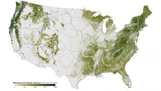 Map Shows Every Tree in the United States